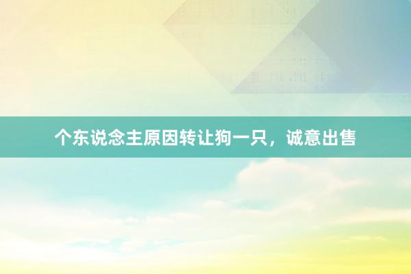 个东说念主原因转让狗一只，诚意出售